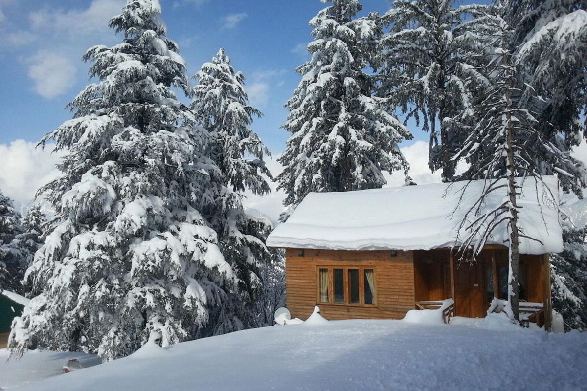 Arcadian Sprucewoods Hotel Shogran Ngoại thất bức ảnh