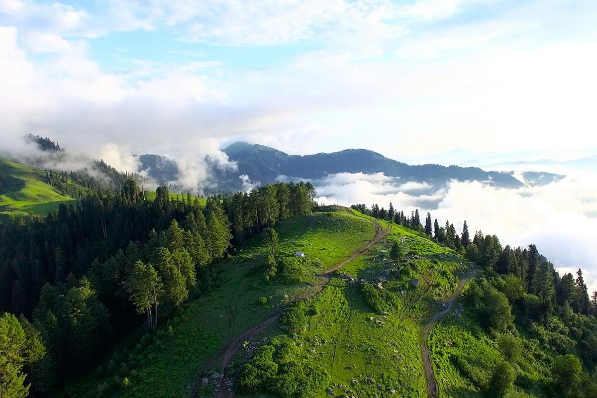 Arcadian Sprucewoods Hotel Shogran Ngoại thất bức ảnh